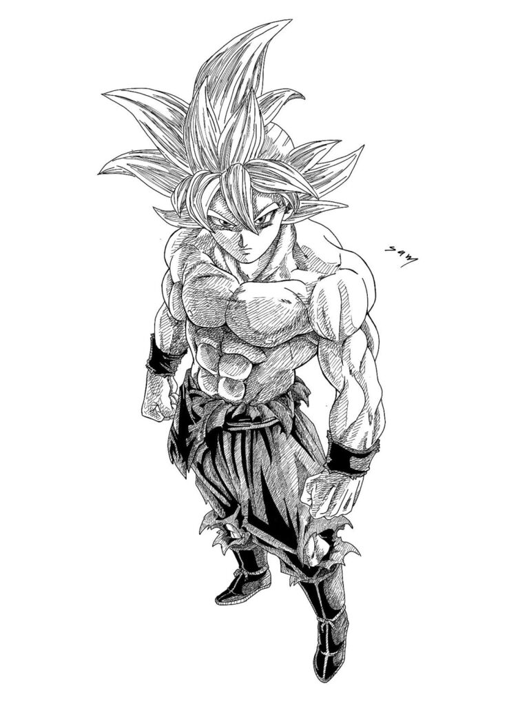New Toyotarou Sketch Teases Goku Next Transformation?