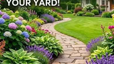27 Garden Path Ideas That Instantly Upgrade Your Yard