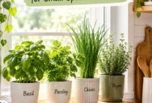 Kitchen window herb garden ideas for small spaces at home