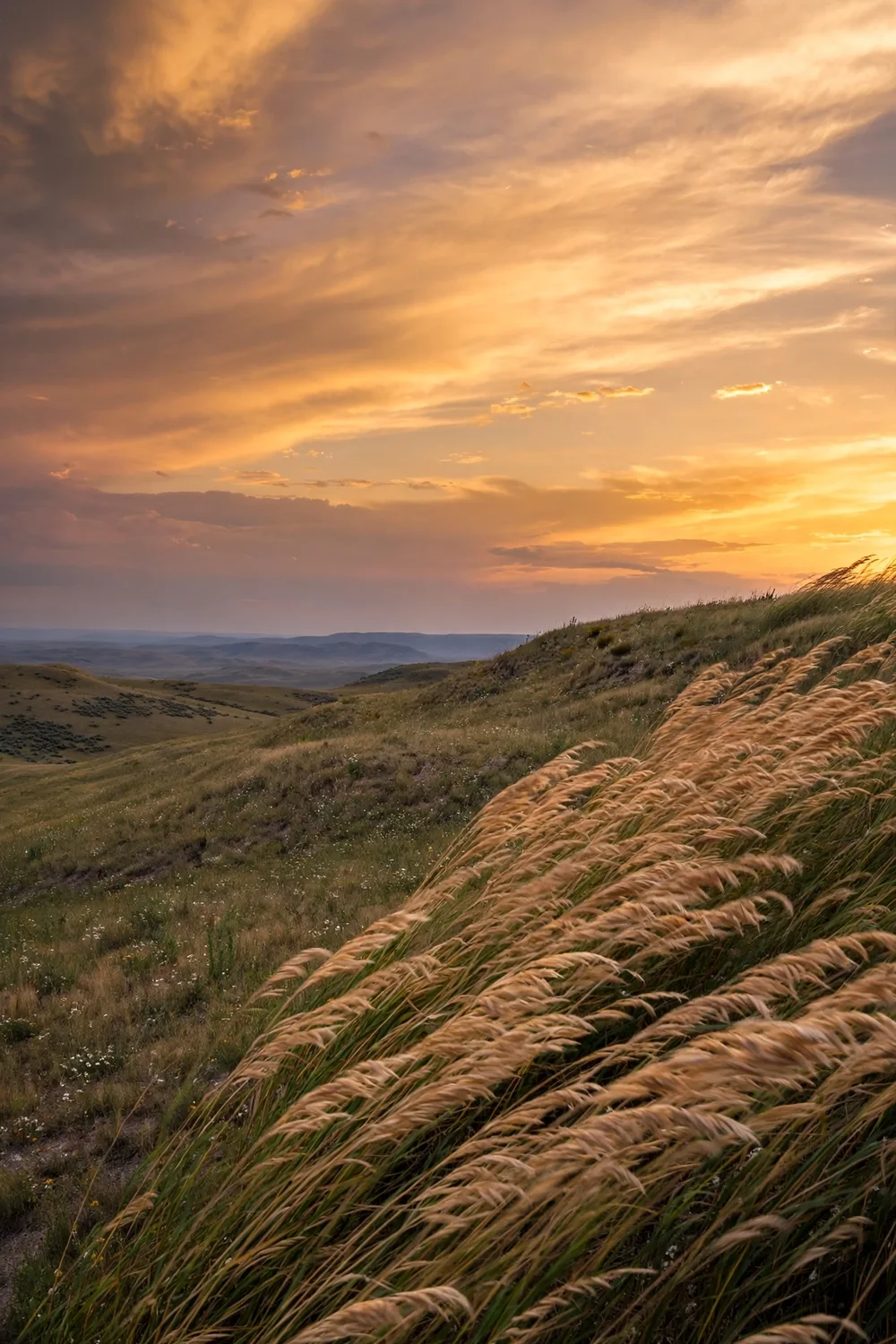 A windswept prairie battlefield hill at sunset